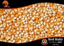 Red Ruby - Corn / Maize (ပြောင်း) (1kg Pack)