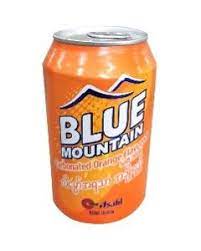 Blue Mountain-Carbonated Orange Flavoured Soft Drink-Can (330ml)