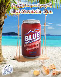 Blue Mountain-Carbonated Cola Flavoured Soft Drink-Can (330ml)