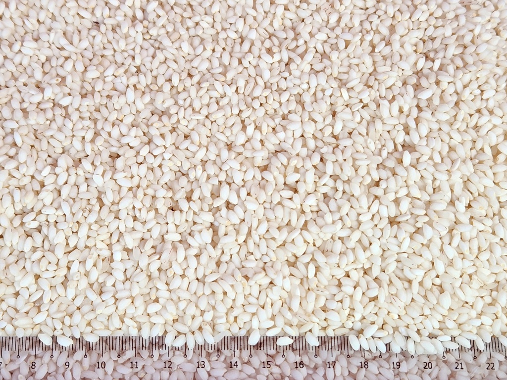 Rice Pawsan Medium 2kg - ဆန်ပေါ်ဆန်းလတ် ရှယ် (၁ပြည်)