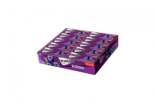 Dentyne - Blueberry Flavoured Chewing Gum (20pcs)