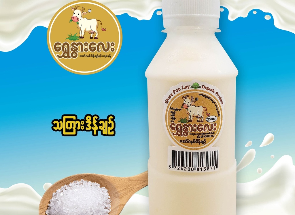 Wa Ha Ha - Wint Shwe War - Natural Yogurt (All Flavour)