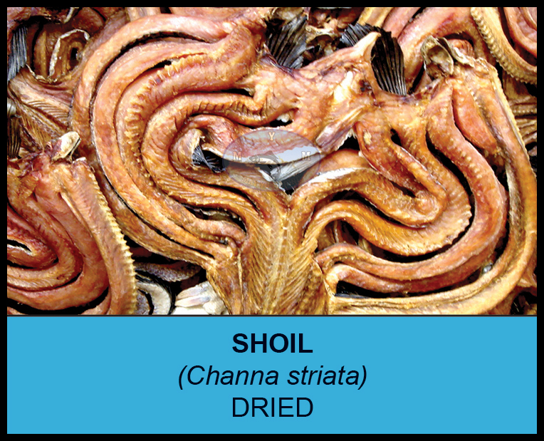 Sea King - Dried Shoil Fish (ငါးရံ့ခြောက်) 1kg x 5pcs