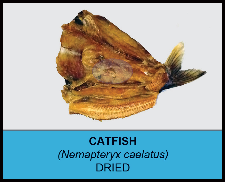 Sea King - Dried Catfish (ငါးရောင်ခြောက်) (1kg) x 5pcs