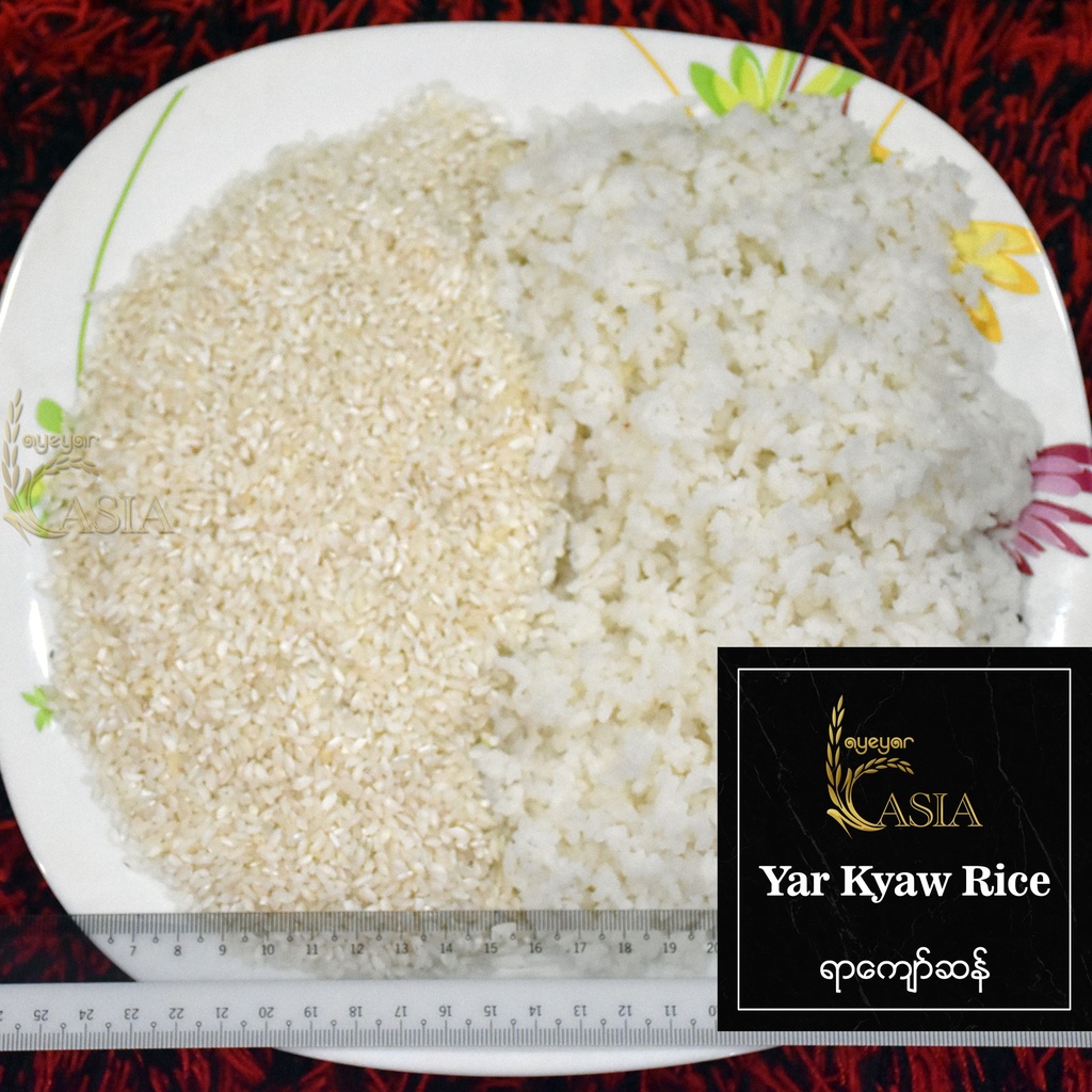 Ayeyar Asia - Yar Kyaw Rice (ရာကျော်ဆန်) (24Pyi) (49kg) Polished