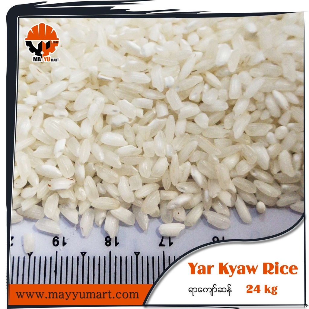 Ayeyar Asia - Yar Kyaw Rice (ရာကျော်ဆန်) (24kg) Polished x 10pcs