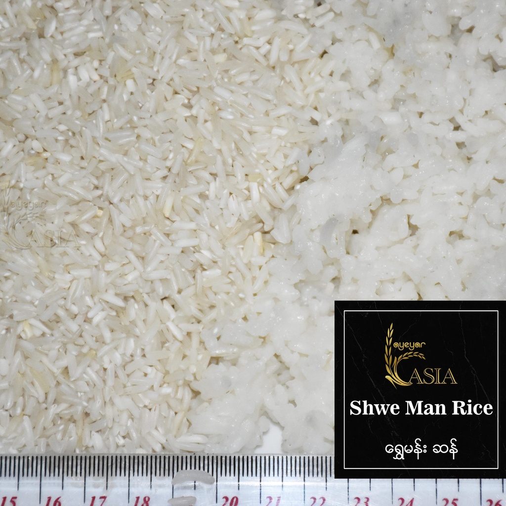Ayeyar Asia - Shwe Man Rice (ရွှေမန်းဆန်) (49kg) Polished x 10pcs