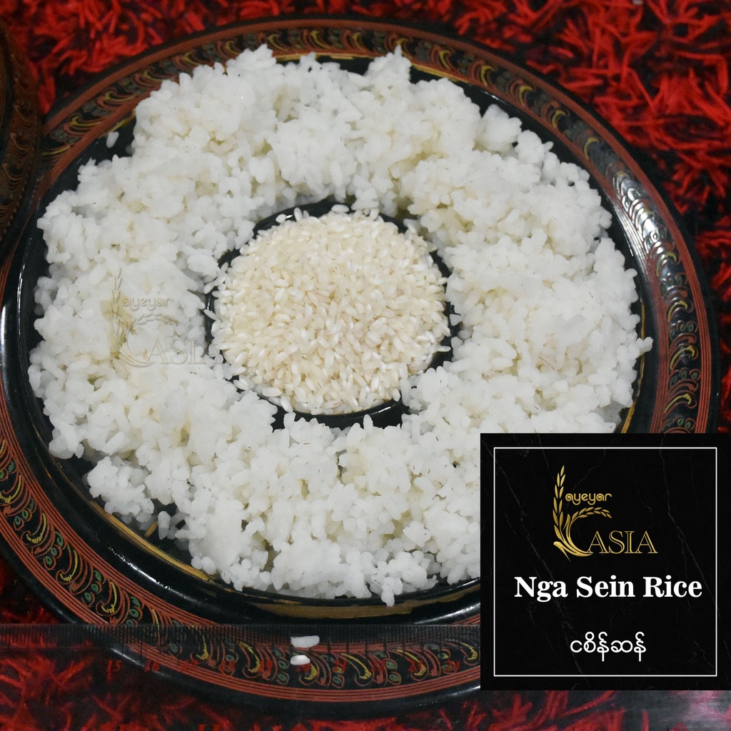 Ayeyar Asia - Nga Sein Rice (ငစိန်ဆန်) (49kg) x 10pcs