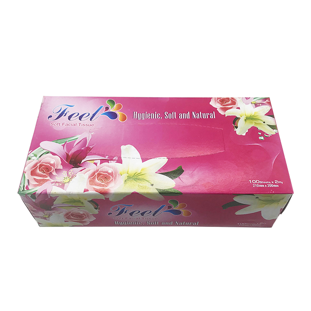 Feel - Tissue Box (100pcs)