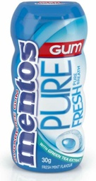 Mentos - Pure Fresh - WinterGreen Mint Flavour - Chewing Gum (29.7g)