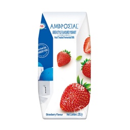 Yili - Ambpoeial Greek Style Yoghurt Heat Treated Fermented milk(205g)