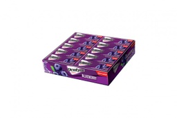 Dentyne - Blueberry Flavoured Chewing Gum (20pcs)