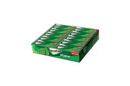 Dentyne - Spearmint Flavoured Chewing Gum (20pcs)