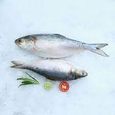 Sea King - Hilsa Shad ငါးသလောက် (1kg)