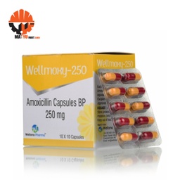 Amoxycillin - Capsule BP 250mg (10Card x 10Bilsters)