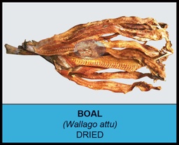 Sea King - Dried Boal Fish (ငါးဘတ်ခြောက်) (1kg)