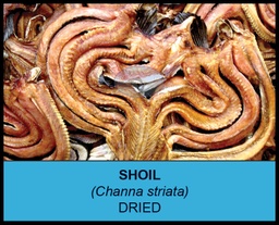Sea King - Dried Shoil Fish (ငါးရံ့ခြောက်) (1kg)