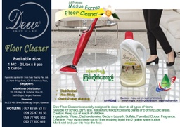 Dew - Mesua Ferrea - Floor Cleaner (2litre) Normal with Colour