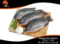 Tilapia Fish (Whole) 300g - 500g [တီလားပီးယား ၃၀ဝ - ၅၀ဝဂရမ်] 500g