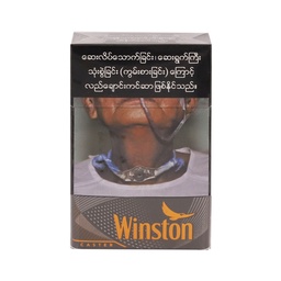 Winston - Caster